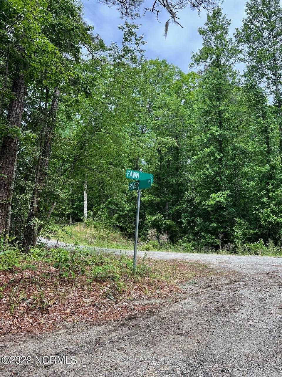 Property Photo:  Lot 9 &Amp 10 Fawn Court  NC 27814 