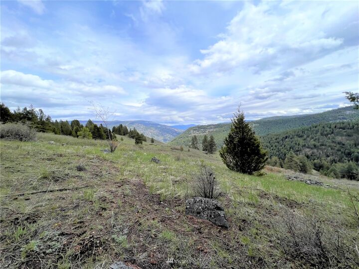 Property Photo:  0 Tbd Bamber Creek Road  WA 99118 