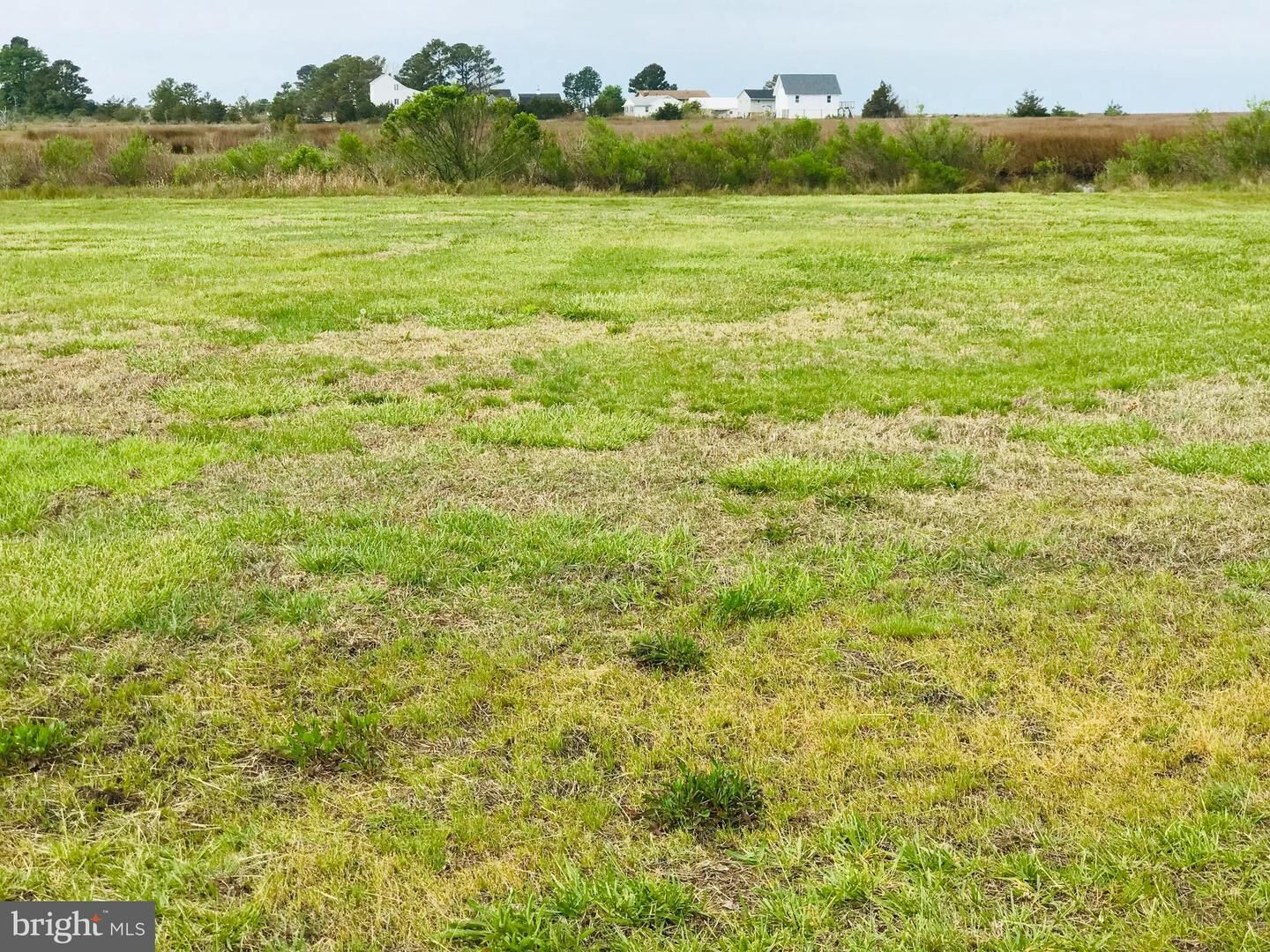 Property Photo: 7792 Riverview Road MD 21871