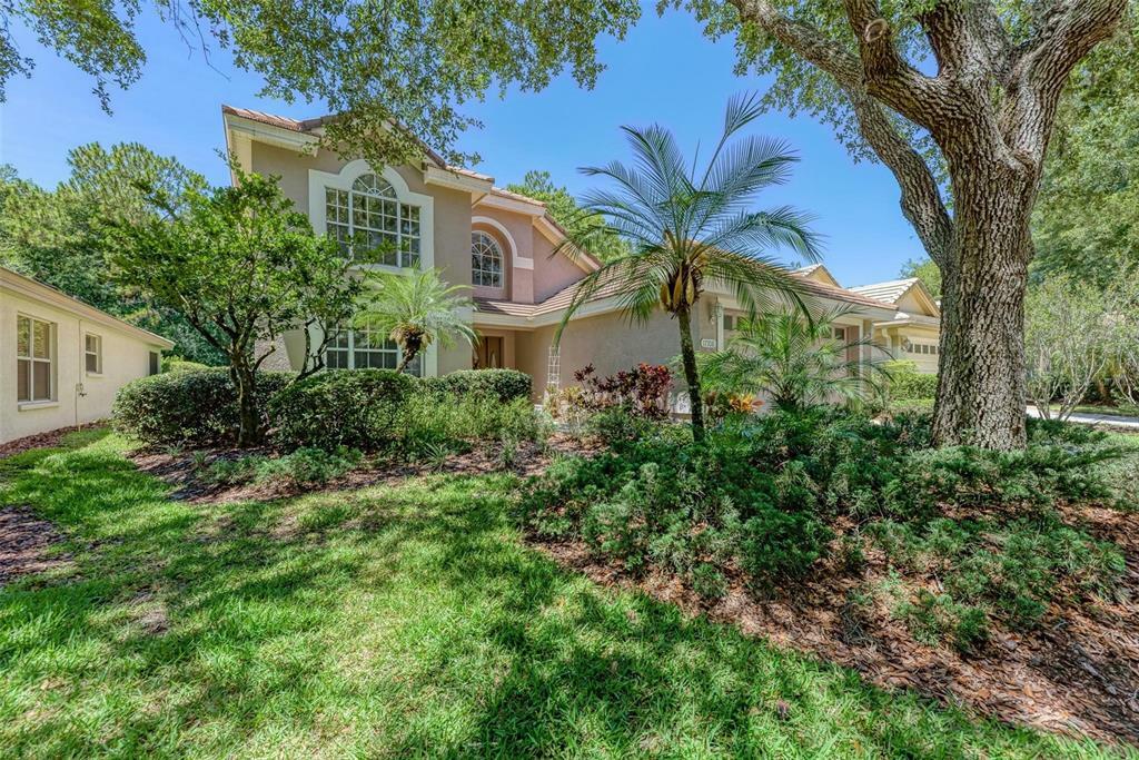 Property Photo:  17708 Nathans Drive  FL 33647 