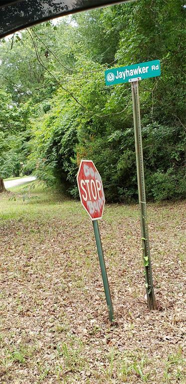 Property Photo: Tr 89 Jayhawker Road Road TX 77328