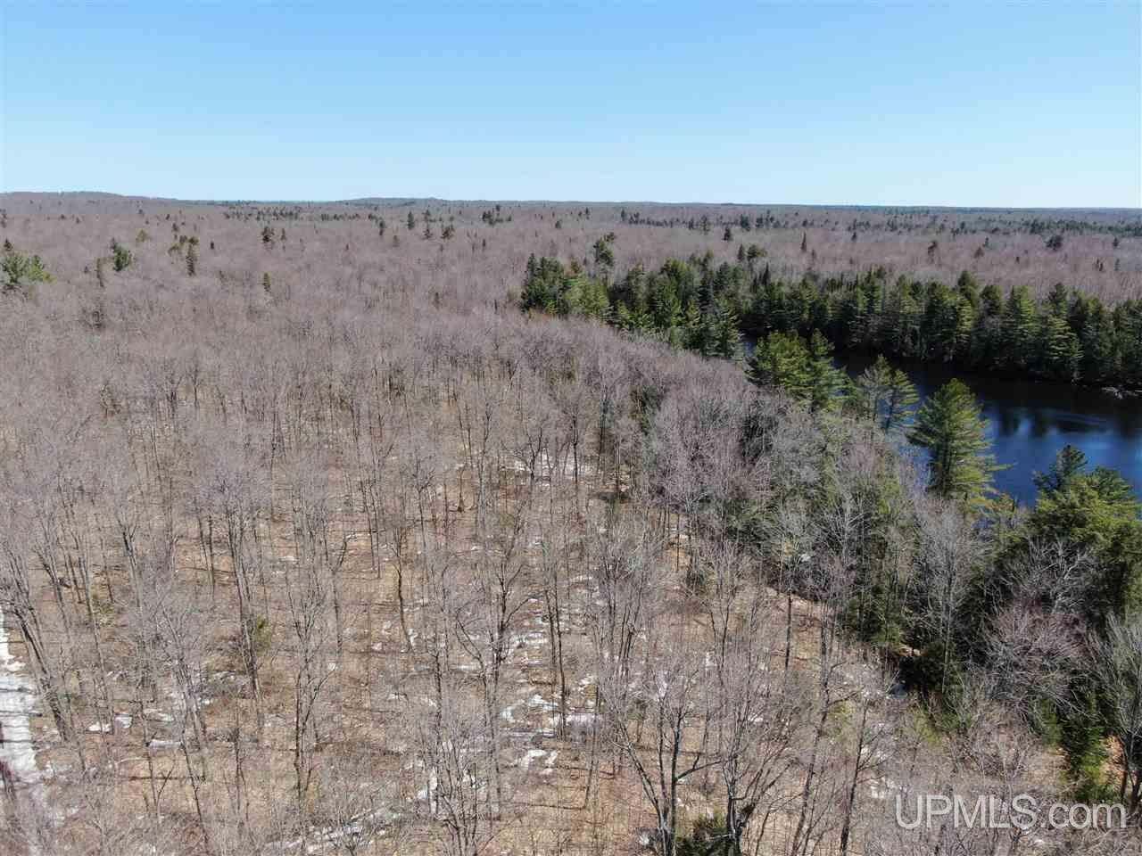 Property Photo: 0 Rhody Cr Truck Trail Carter Lake Rdp MI 49839