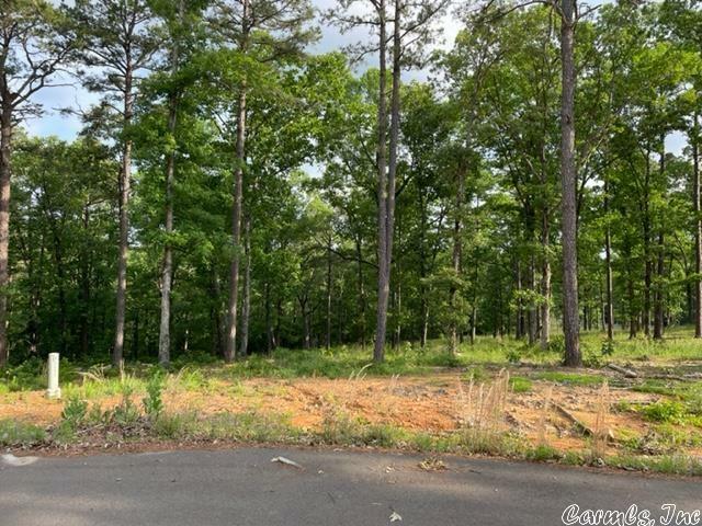 00 Empy Trail Lot 5  Conway AR 72034 photo