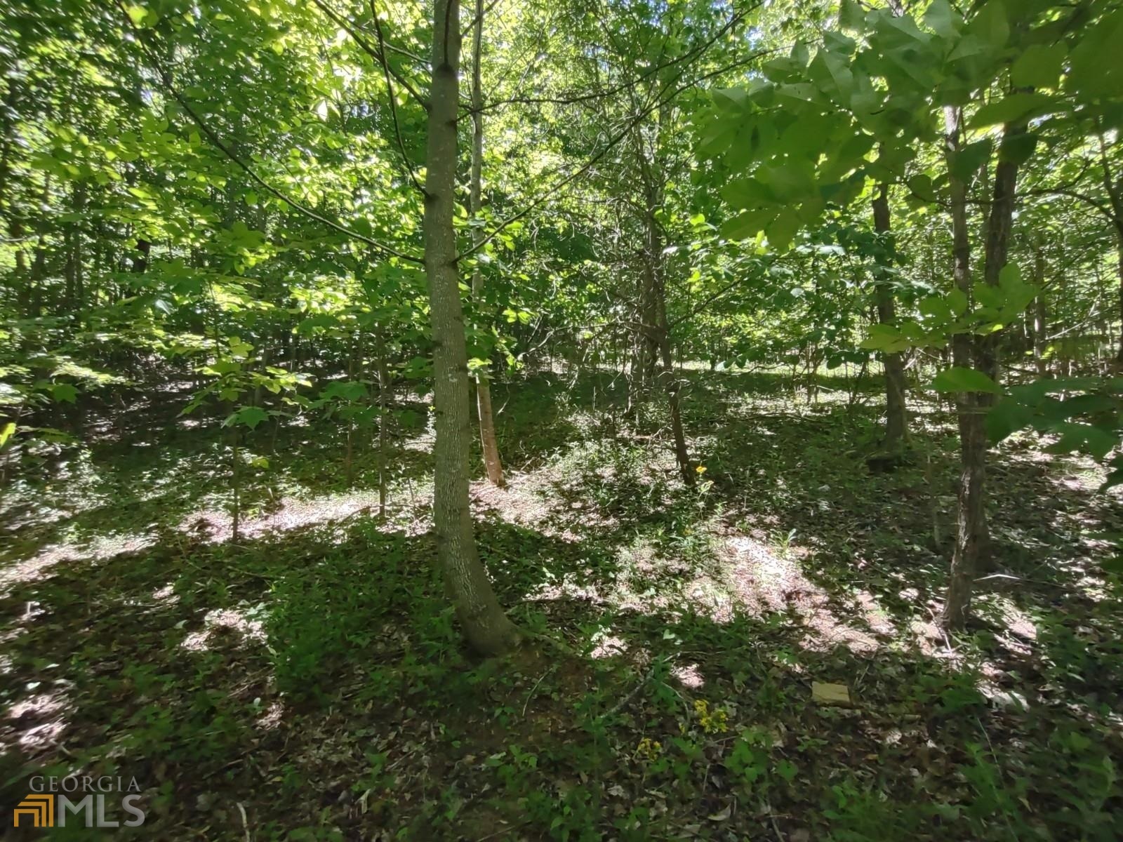 Property Photo:  Lot 9 Meadow Loop  GA 30540 