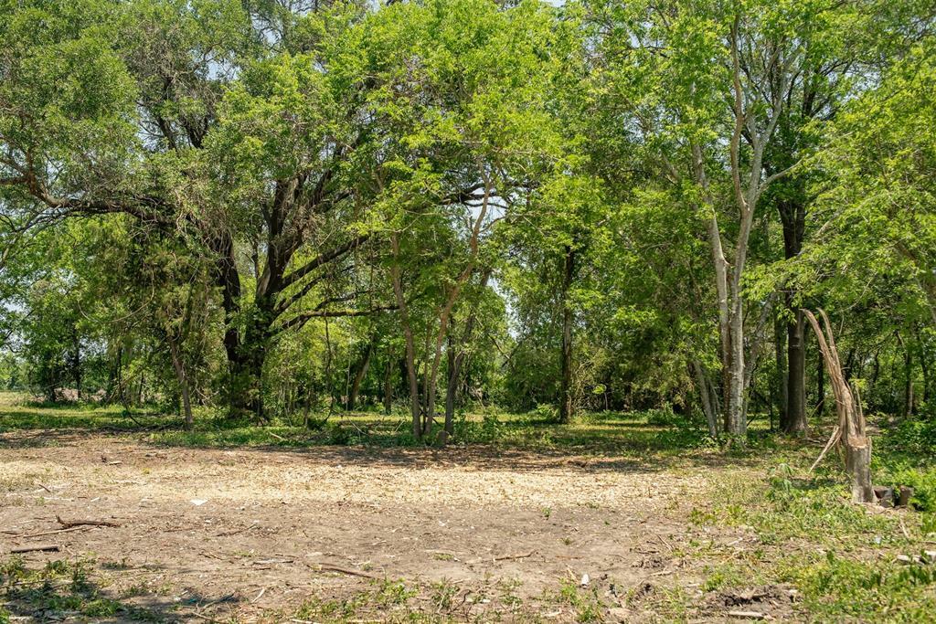 Property Photo:  00 Ike Franks Tract 10 Road  TX 77517 