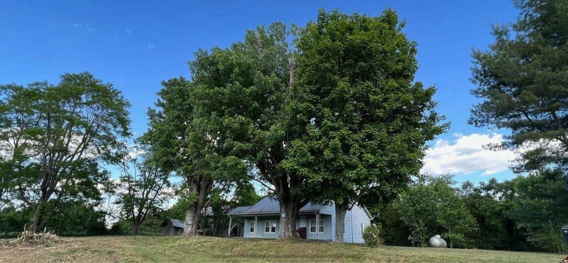 Property Photo:  1350 Cropper Ridge Rd  TN 37150 