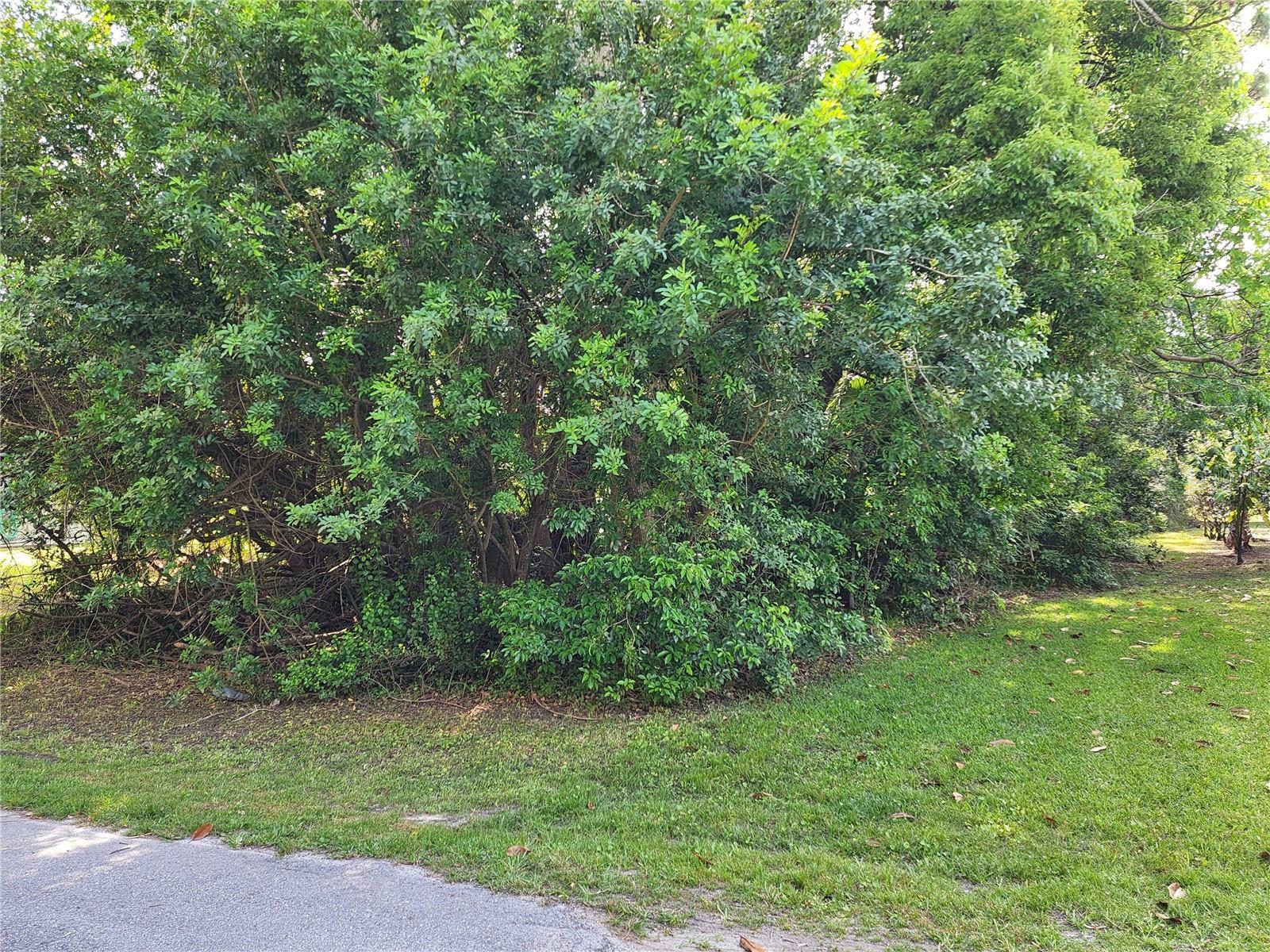 Property Photo: Lot 23 Lyle Circle FL 34667