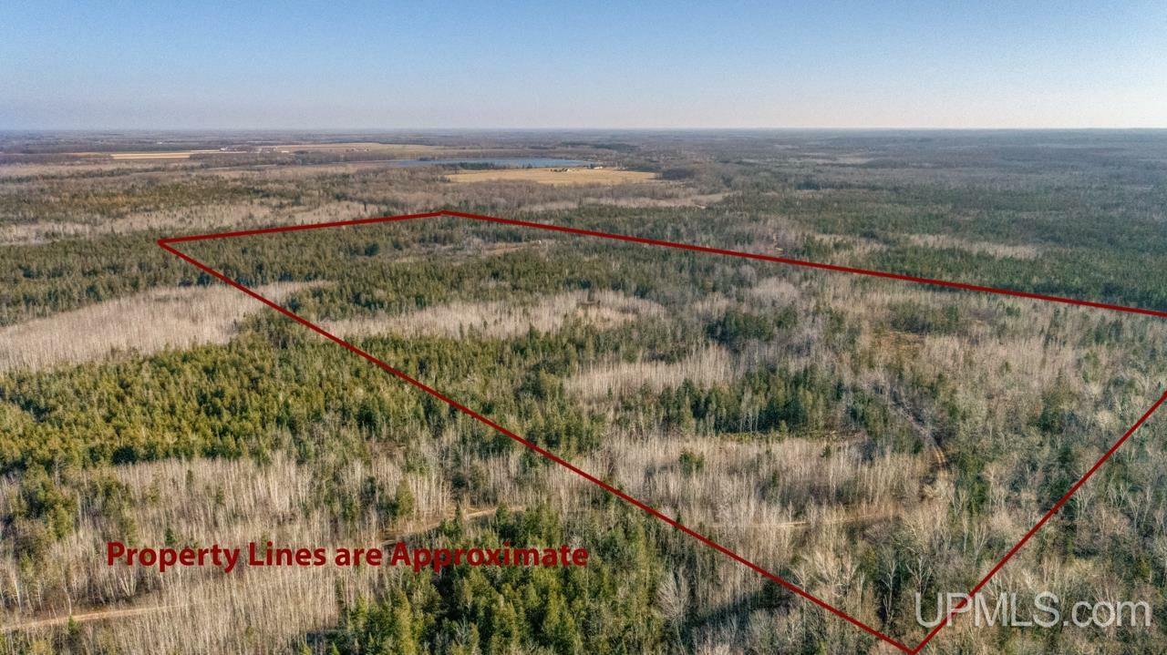 Property Photo:  Tbd 80 Acres County Rd 523 Shopping Mall  MI 49819 