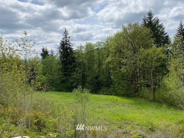 Property Photo: 0 Buckhorn Road WA 98596