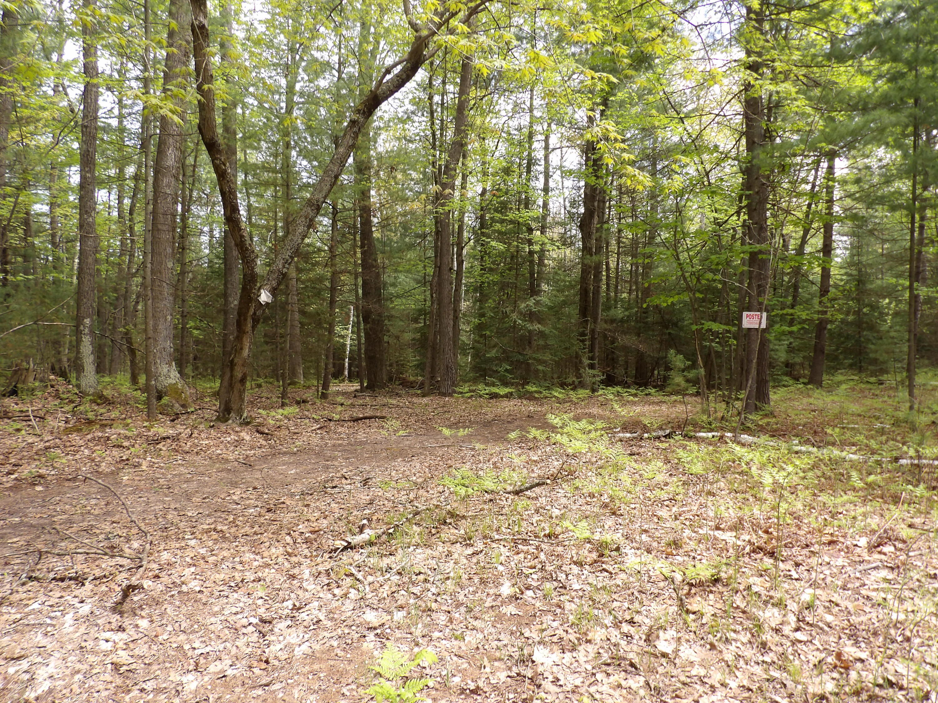 Lot 9 Club Road  St. Helen MI 48656 photo