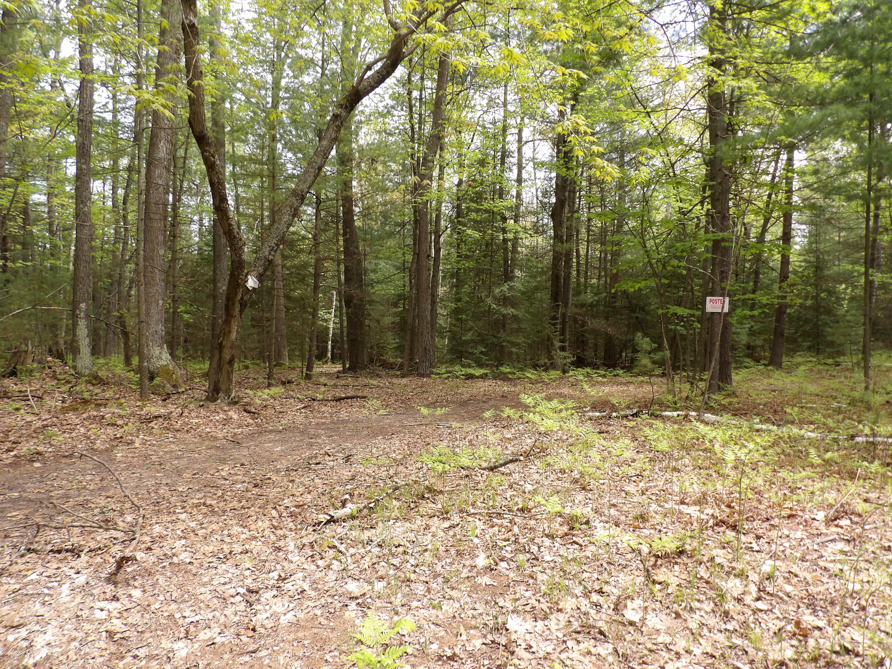 Property Photo: Lot 9 Club Road MI 48656