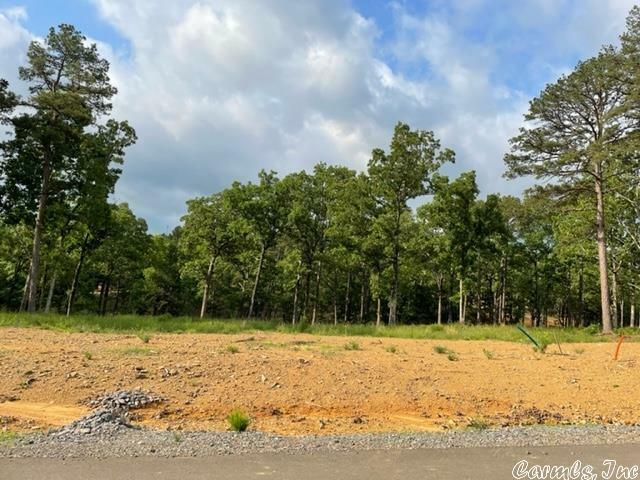 Orchard Hill Lot 14 Ph. 2  Conway AR 72034 photo