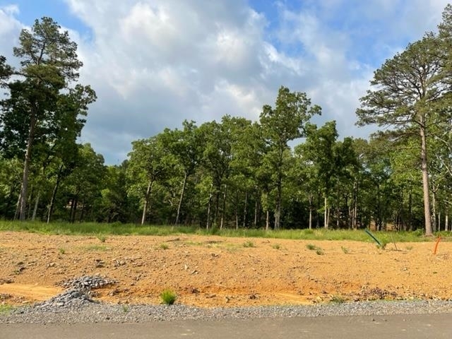 Property Photo:  Orchard Hill Lot 14 Ph. 2  AR 72034 