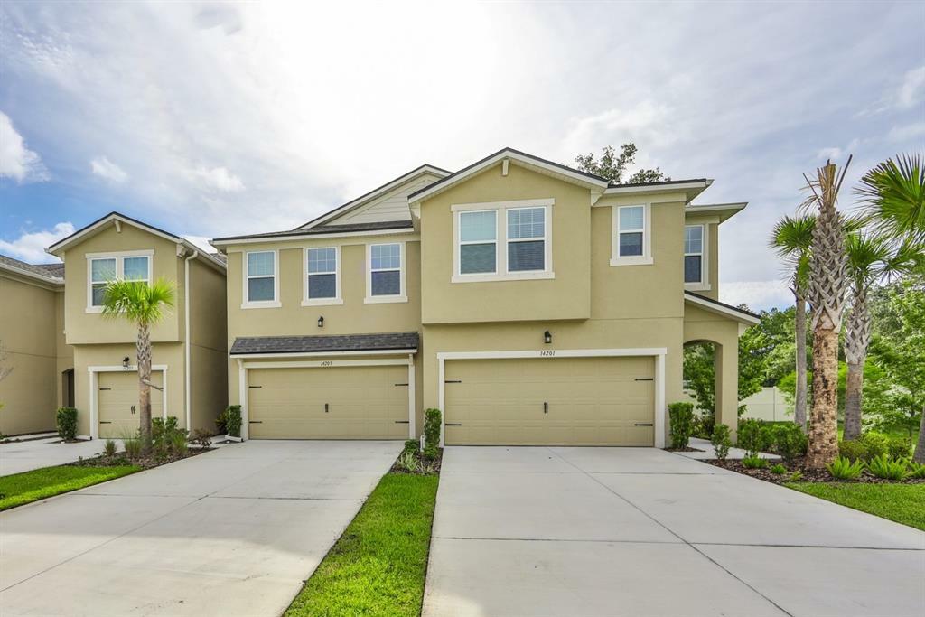 Property Photo:  14203 Damselfly Drive  FL 33625 