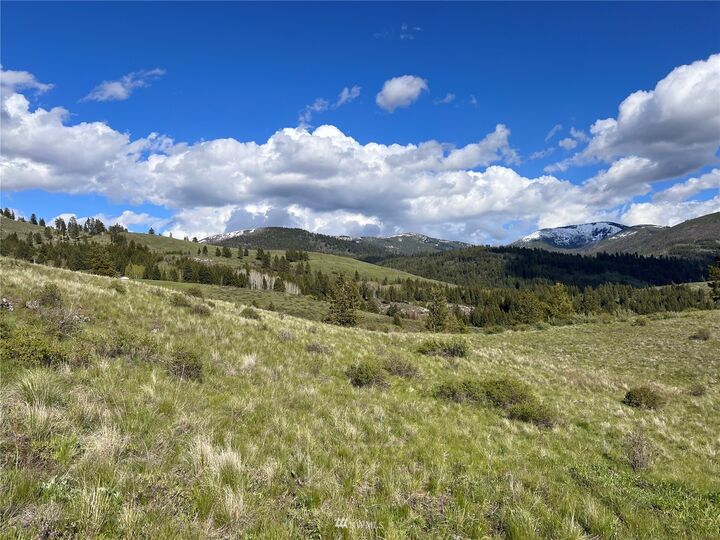Property Photo:  0 Lot 35 Wildman Road  WA 99166 
