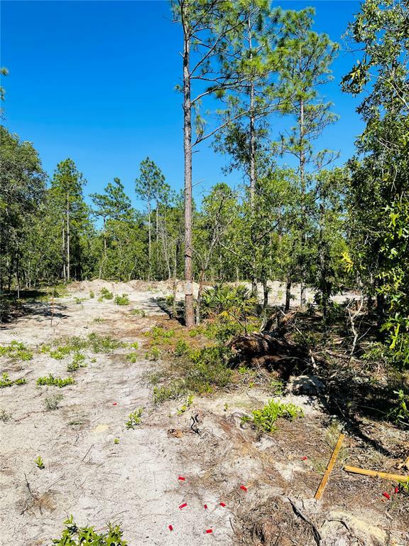 Property Photo:  Lot 4 SW 127th Avenue 1  FL 34432 