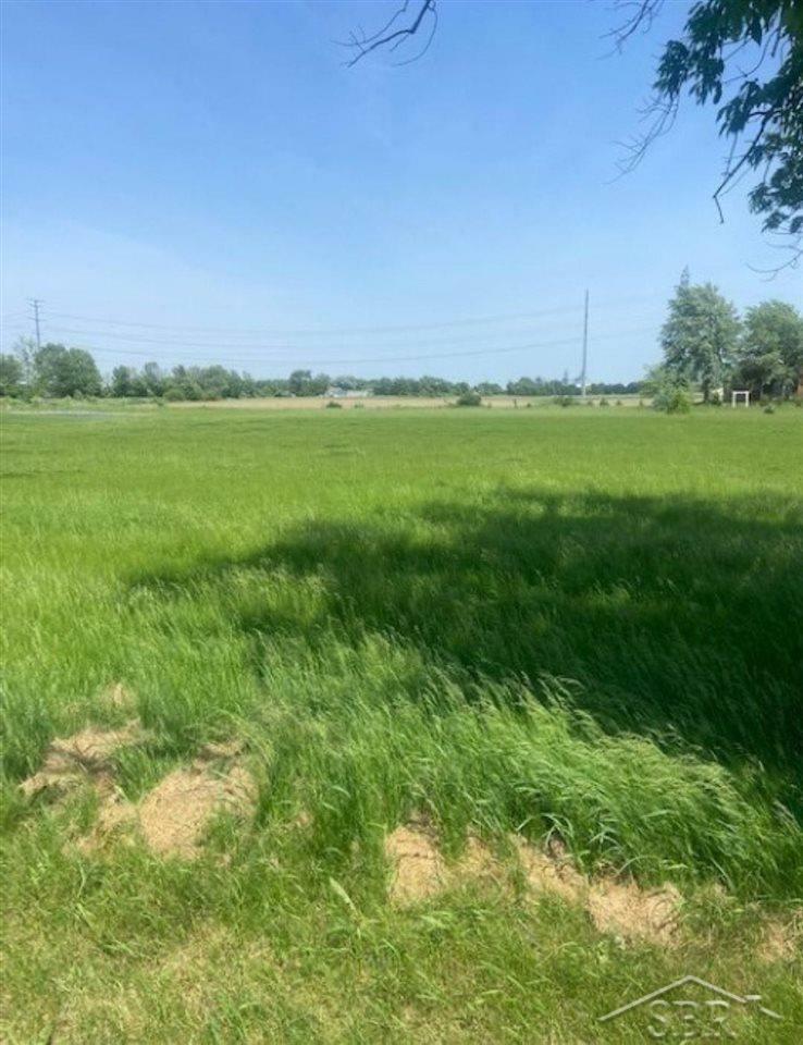 Property Photo:  V/L Reese Rd  MI 48734 