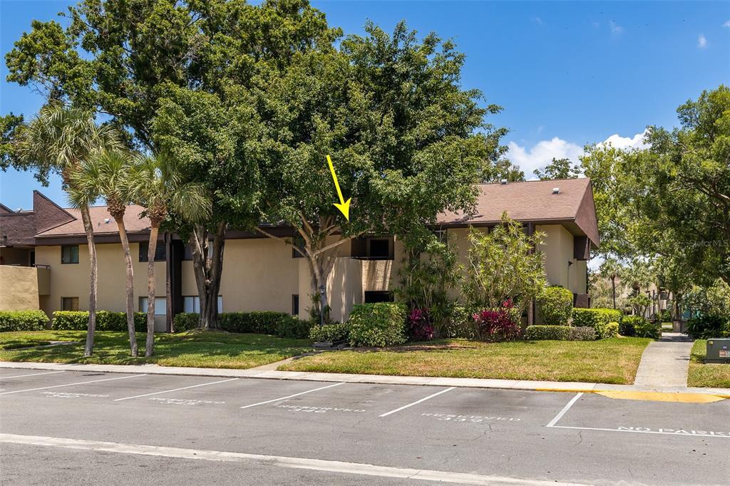 Property Photo: 10775 Village Club Circle N 205 FL 33716