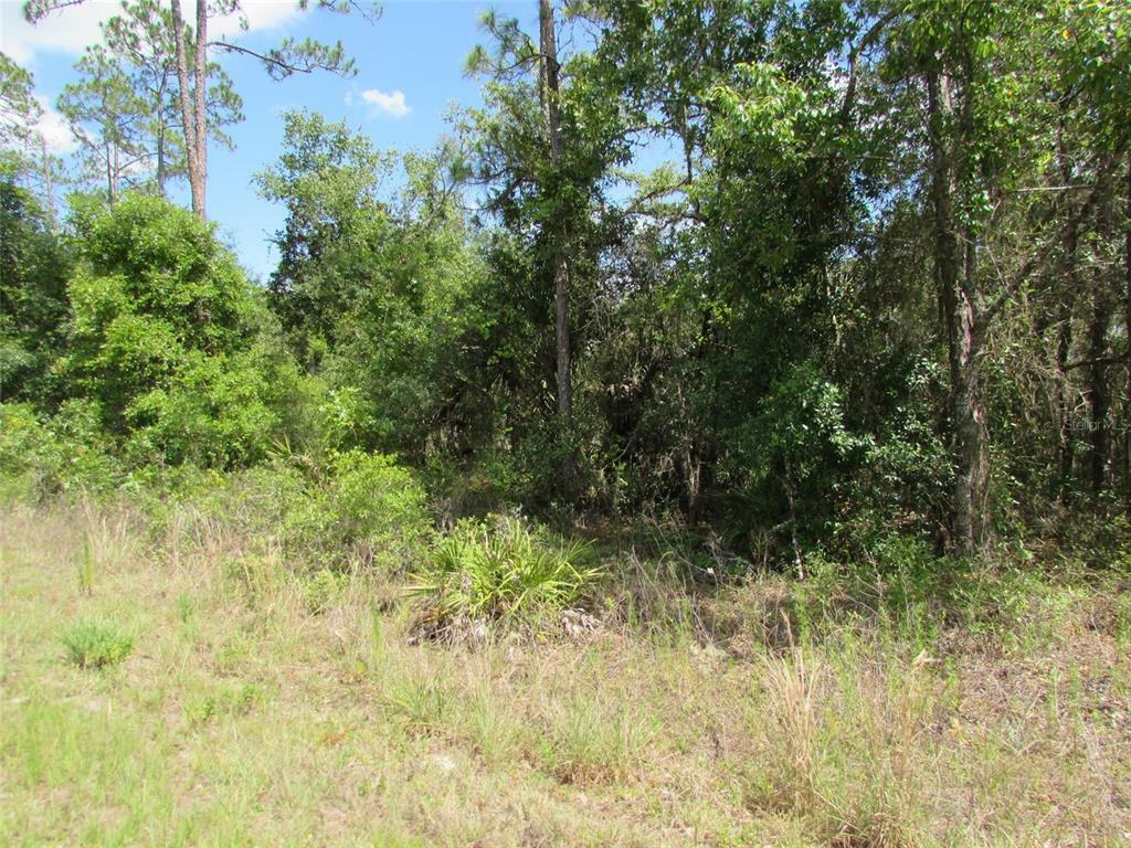 Property Photo:  0 SW Tiger Lake Boulevard W  FL 34431 