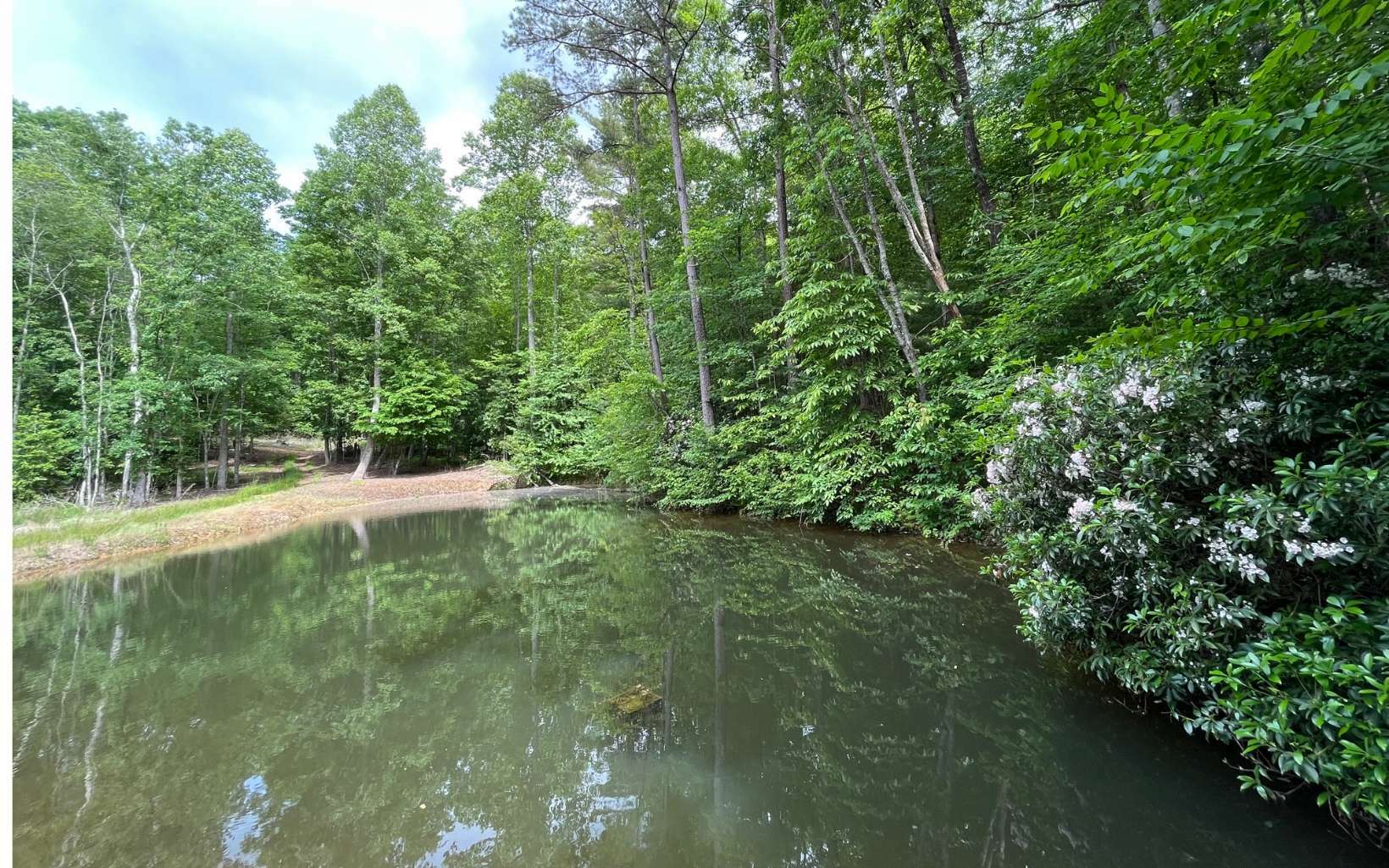 Property Photo:  4 Ac Liberty Hill Road  GA 30560 