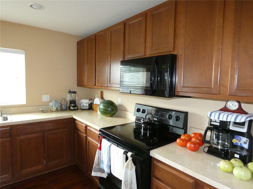 Property Photo: 5215 Butterfly Shell Drive FL 33572