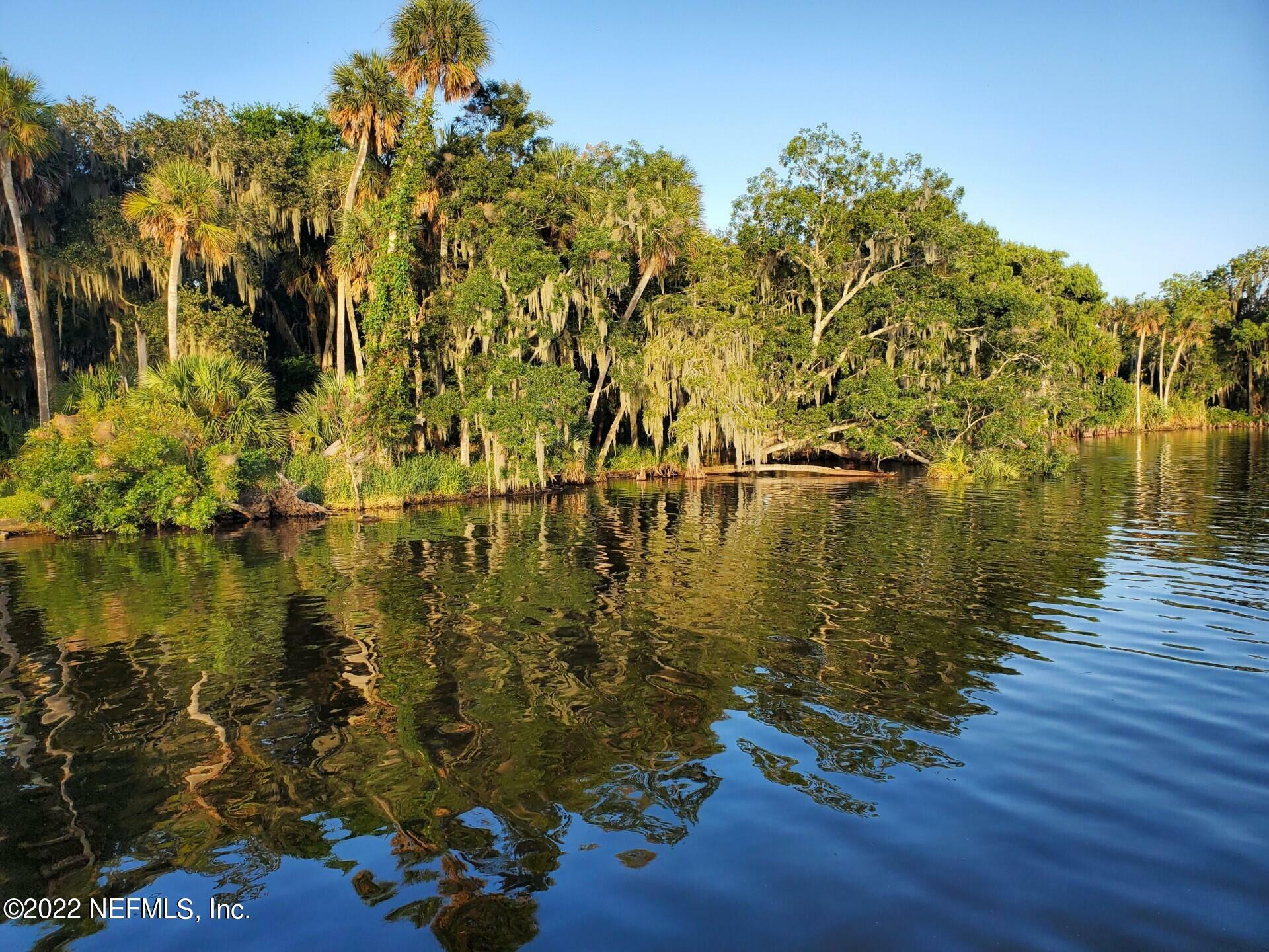 Property Photo:  1687 Lake George Road  FL 32190 