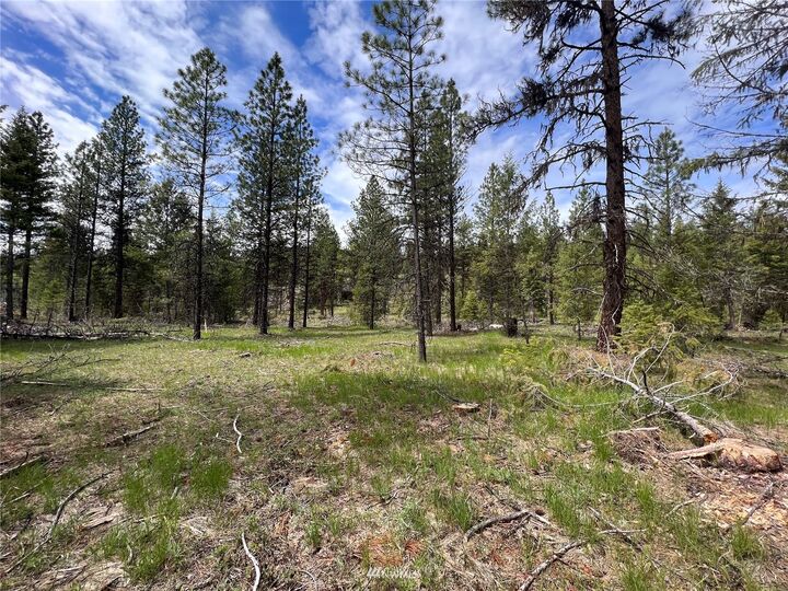 Property Photo:  0 Tbd White Tail Flats Road  WA 99166 