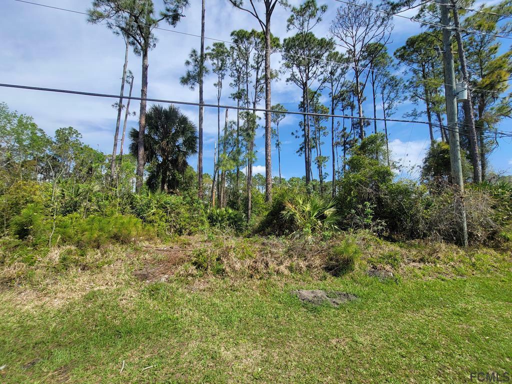 Property Photo:  113 Parkview Drive  FL 32164 