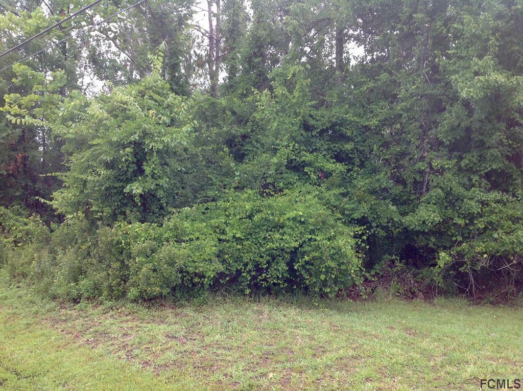 Property Photo:  71 Zebulahs Trail  FL 32164 