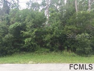 Property Photo:  40 Llama Trail  FL 32164 