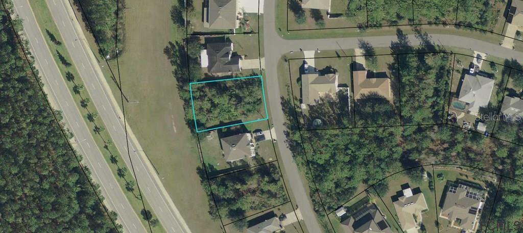 Property Photo:  29 Buffalo Grove Drive  FL 32137 