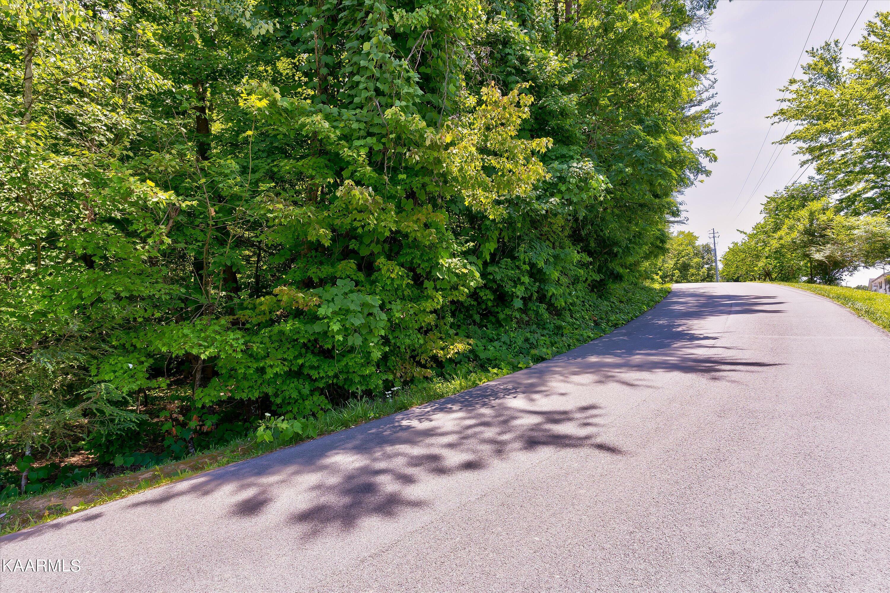 Property Photo: Lot 16 Marshall Lane TN 37862