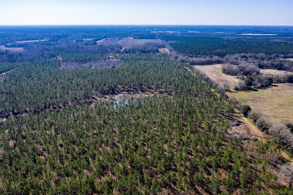 Property Photo:  Ll 95/98 Murphy Road  GA 31763 