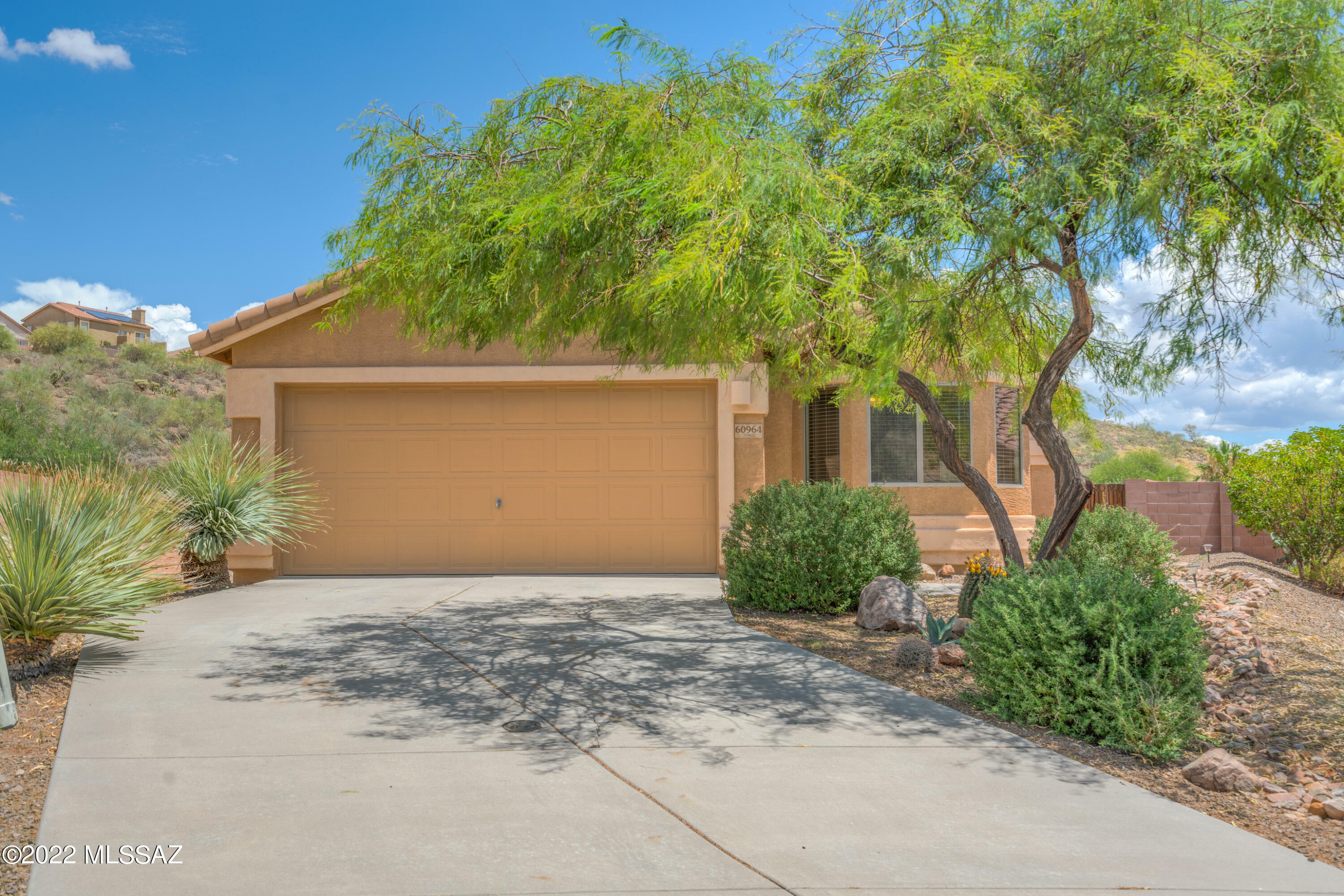 Property Photo:  60964 E Forelock Place  AZ 85739 