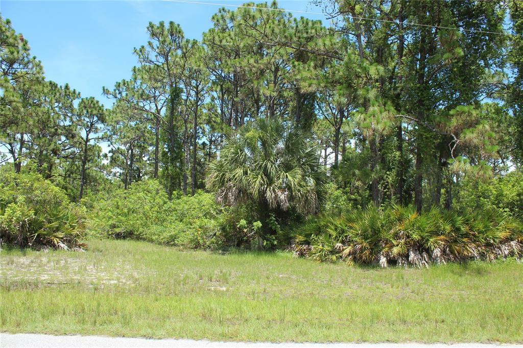 Property Photo:  122 Wahoo Drive  FL 33947 