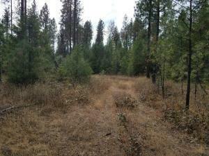 Tbd Nine Mine Rd  Kettle Falls WA 99141 photo