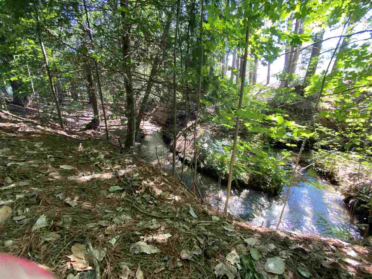 Property Photo: Tbd Dingman School MI 49727
