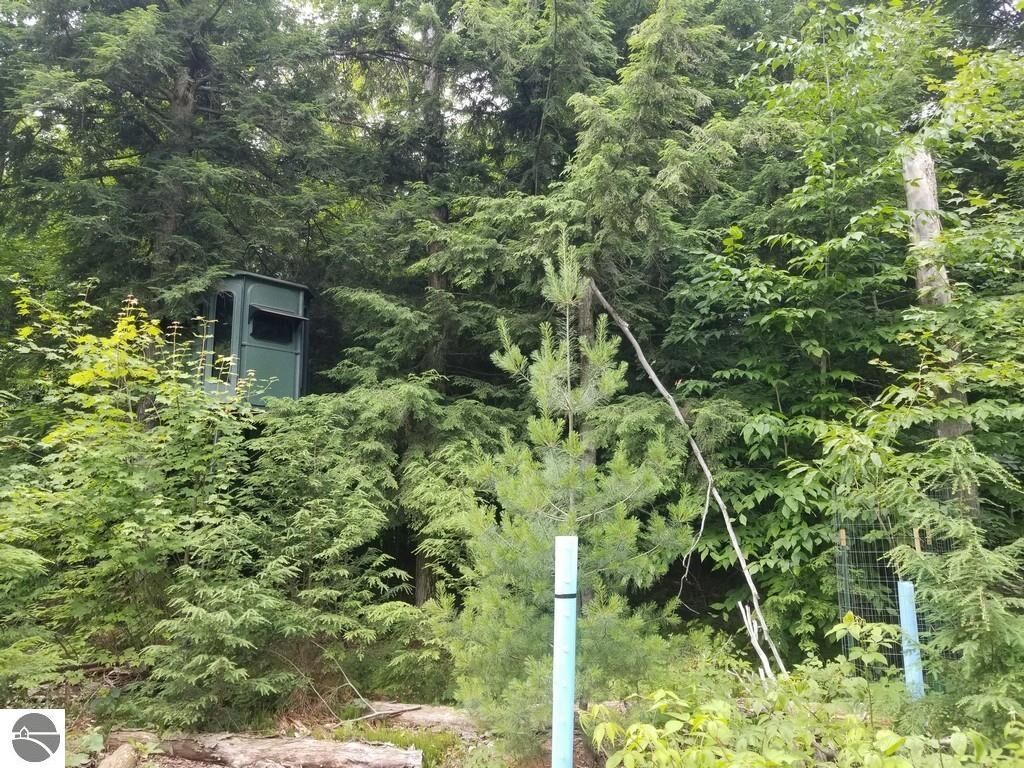 Property Photo:  00 Tagalder Drive  MI 49646 