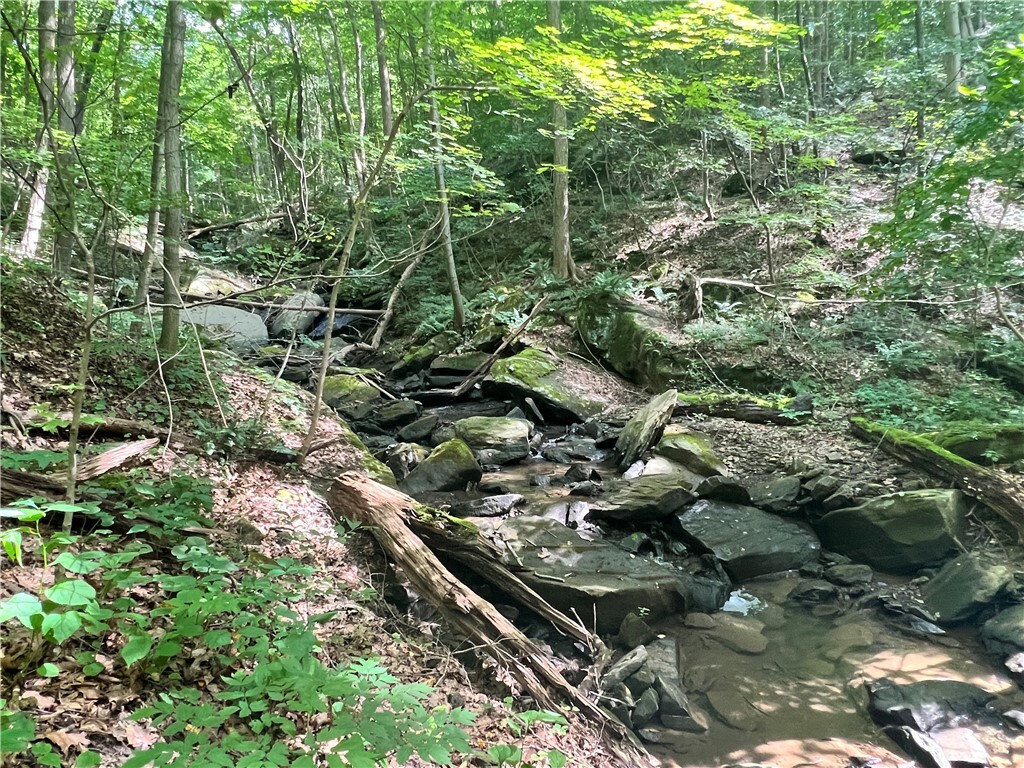 Property Photo:  Lot 242 Old River Road  PA 15010 