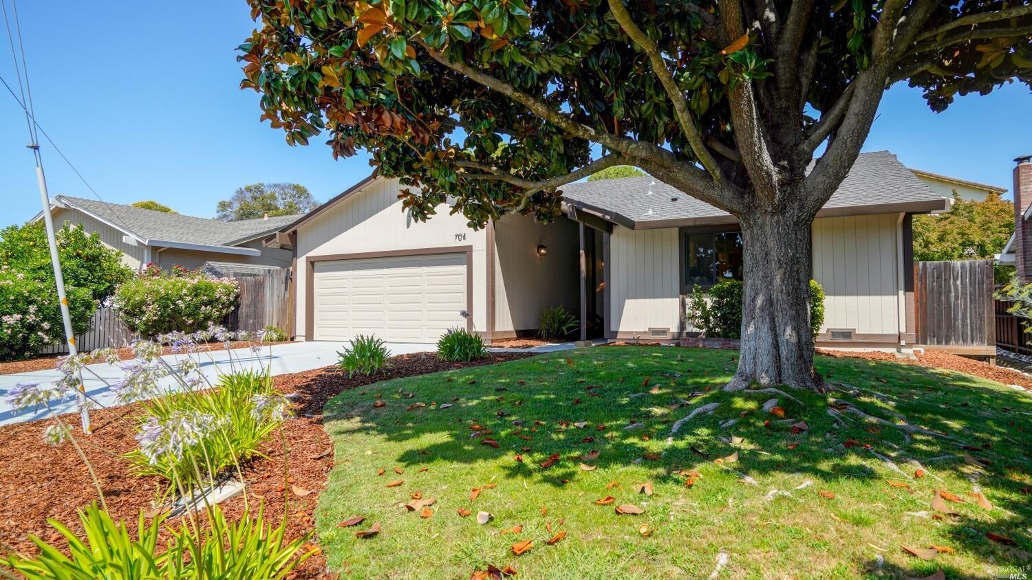 Property Photo:  704 Lamont Avenue  CA 94945 