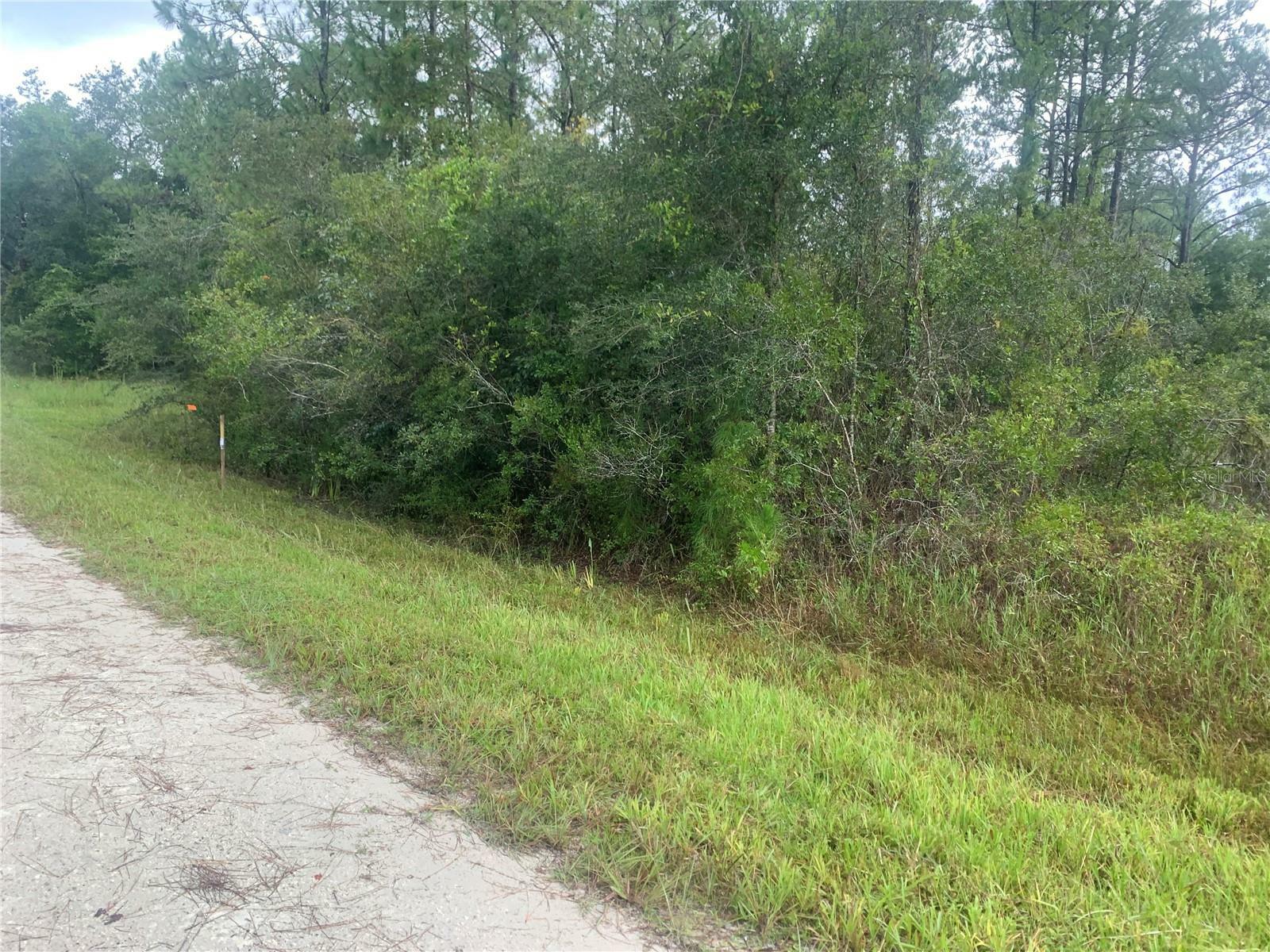 Property Photo:  Tbd Otter Drive Lot 44  FL 33597 