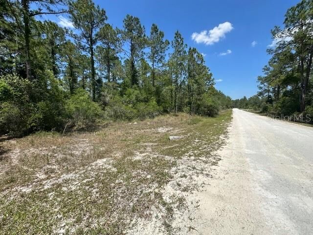 Property Photo: Tbd Otter Drive Lot 44 FL 33597