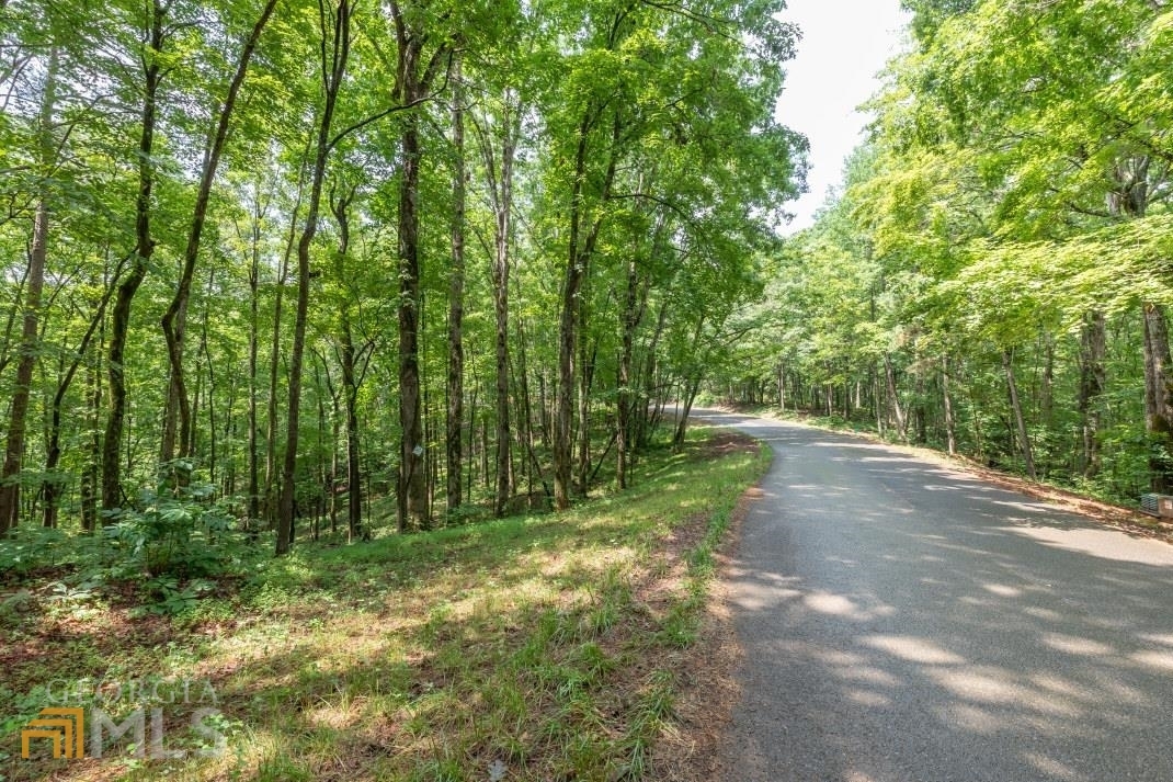 Property Photo:  L19 Jake'S Landing Road  GA 30540 