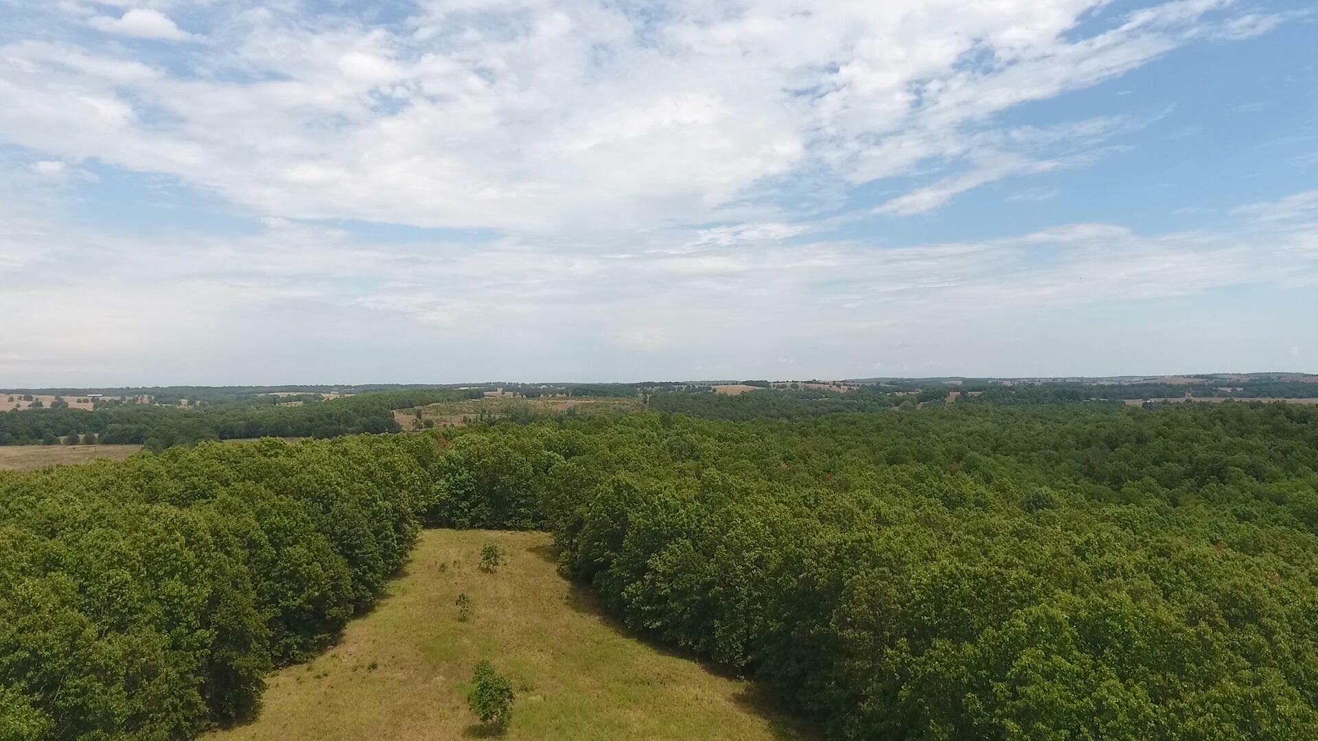 Property Photo: 000 County Road 8990 MO 65775