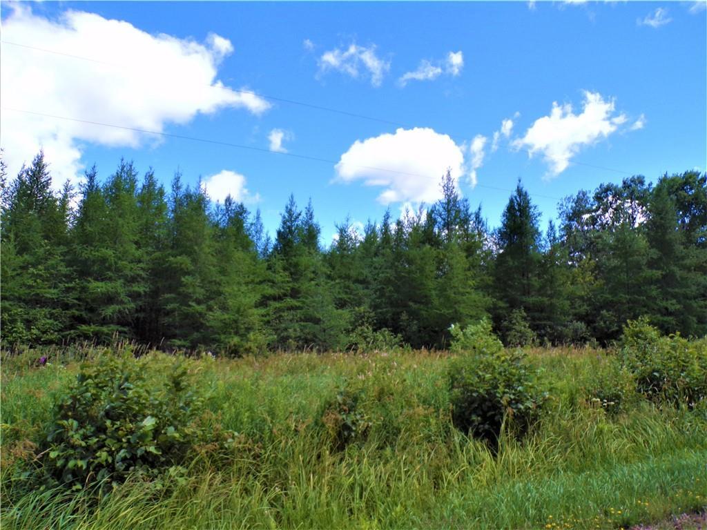 36.97 Acres Sunfish Lake Road  Ladysmith WI 54848 photo