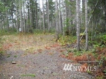 Property Photo:  51 N Mallard Way W  WA 98548 