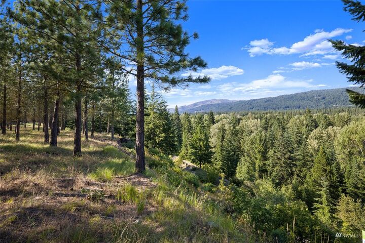 Property Photo: 1503 Southern Star Lane WA 98922