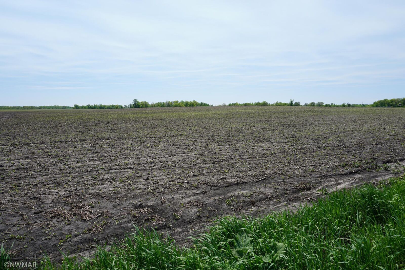 Property Photo: 48870 Taflin Lake Road MN 56621