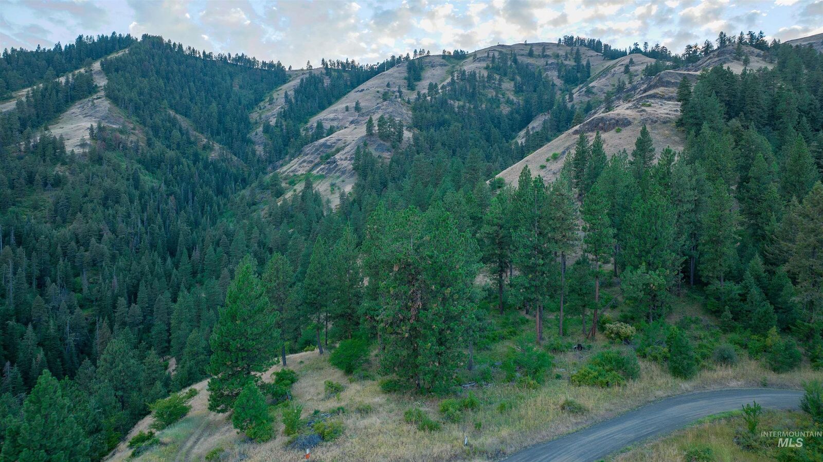 MLS98854135 Lot 75 Pine Ridge Rd, White Bird, ID 83544