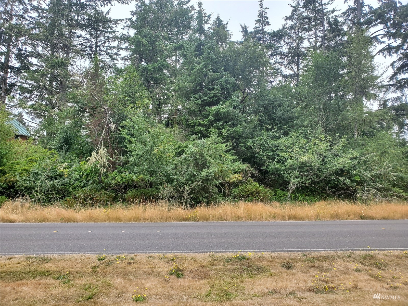 Property Photo:  1015 Catala Avenue SE  WA 98569 